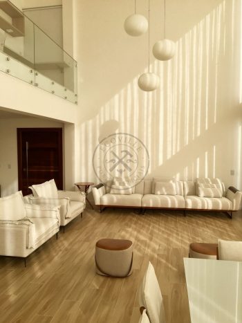 Porta pivotante de madeira de demolição. - Imagem 3