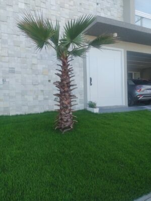 Porta pivotante em ACM branco neve, modelo com frisos, dupla vedação porta e batente